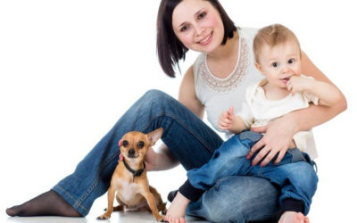 And Baby Makes Four: Preparing for a successful life with dog and baby – the First Trimester